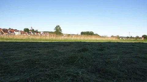 Pan: Field with freshly cut grass, reed, small village Katzweiler, rural Germany Video stock 76799879
