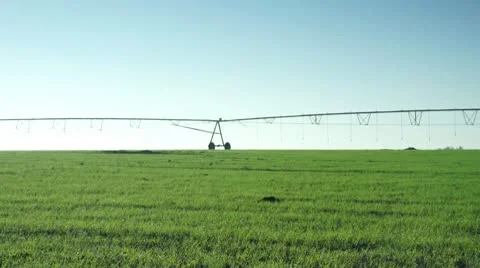 Pan on fields with irrigation device 스톡 동영상 10724144