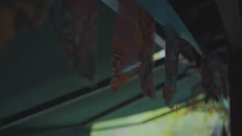 Pan with flags on the beach Stock Footage 151898856