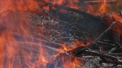 PAN OF FLAMES Video stock 273985854