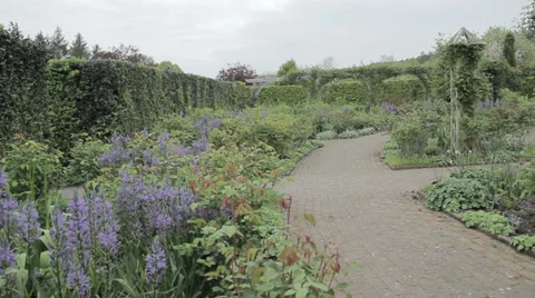 Pan of flower beds Stock Footage 38856839