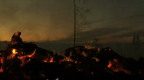 Pan of forest fire at sunset Stock Footage