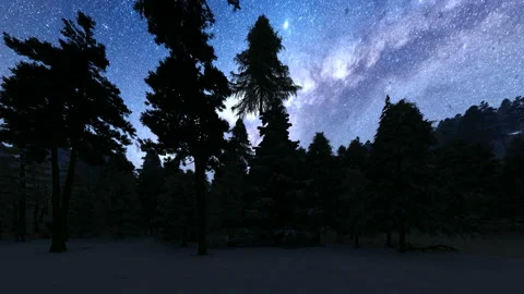 Pan of a forest night sky snowfall Video stock 169008715