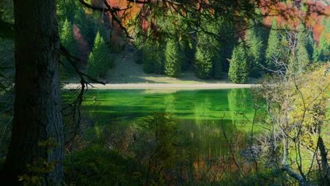 Pan from Forest View Across Crystal Mountain Lake to Autumn Shore Stock Footage 320042737