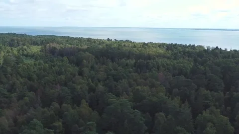 Pan-frame filming from a drone over the forest Video stock 152831608