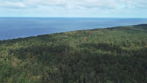 Pan-frame filming from a drone over the forest Video stock 152831708