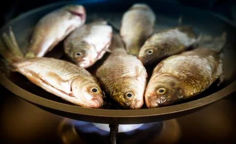 In a pan fried fresh fish. Stock Photos