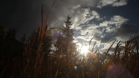 Pan with grass and clouds Stock Footage 101987741