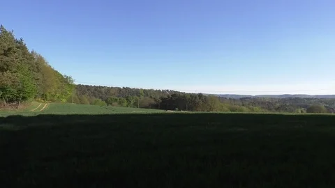 Pan: Green fields surrounded by trees of a forest, power pylons, blue sky above Stock Footage 76772302