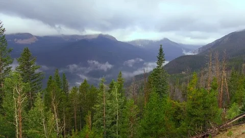 Pan of green forest with mountains in the background and a foreboding sky 動画素材 104778795