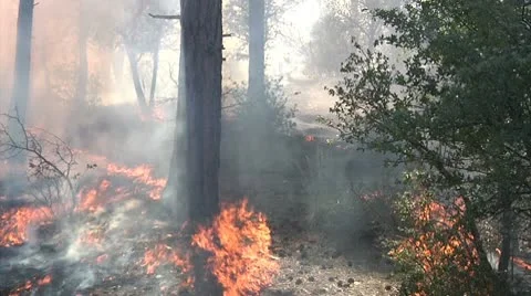 Pan the ground fire close up Stock Footage 9440999
