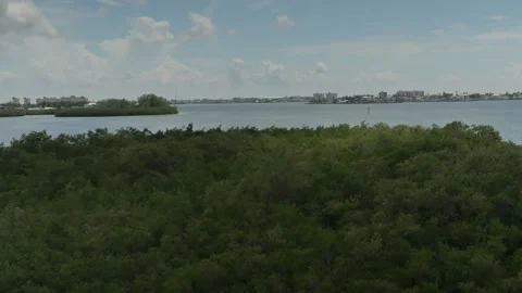Pan High Wide view from observation tower towards Boca Ciega Bay. Towards island Stock Footage 284359290
