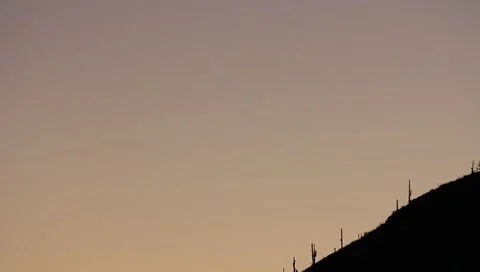 Pan of hillside with cactus and power poles Stock Footage 6082935
