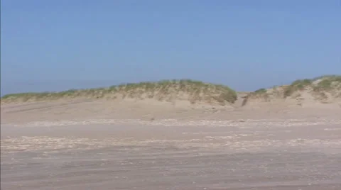 Pan + hold sandy beach with primary dunes - medium shot Stock Footage 24469304