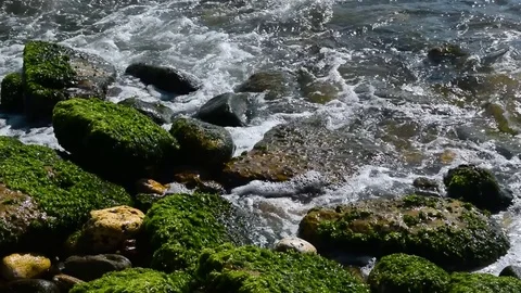 Pan hot to waves hitting stone beach in summer Video stock 80295652