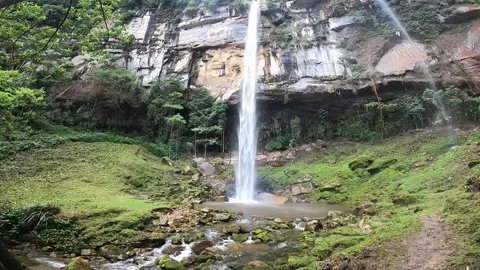 Pan up on huge waterfall in the Jungle Vídeo Stock 205610310