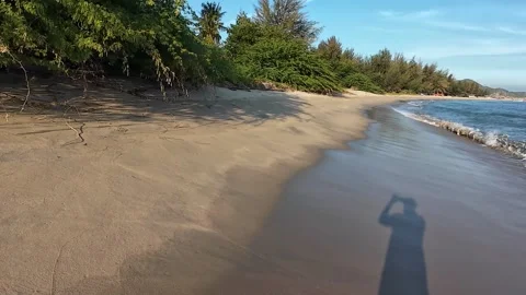 Pan from human shadow on sandy shore to greenery along coast then to sea reveals Stock Footage 326716379