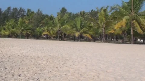 Pan of Indian beach - Marari Vidéo 43812202