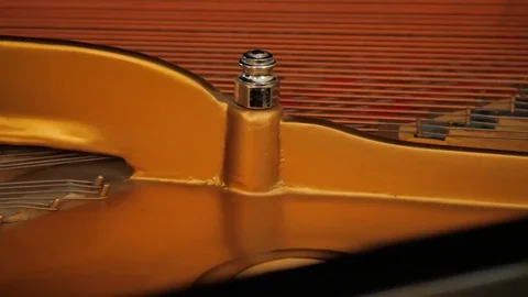 Pan Inside Grand Piano Vidéo 76938445