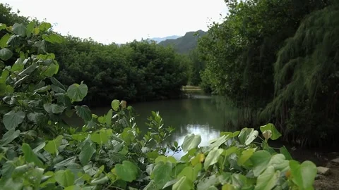 Pan of lagoon with mountains in background during the day, Hawaii Stock Footage 179638590