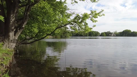 PAN OF LAKE Stock Footage 195664083