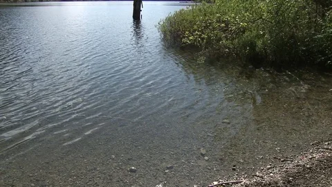 Pan up of lake with forest and small mountain in distance Stock Footage 75249541