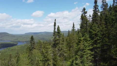 Pan to a Lake in Valley Below the Mountain - Sept Chutes Stock Footage 158178146