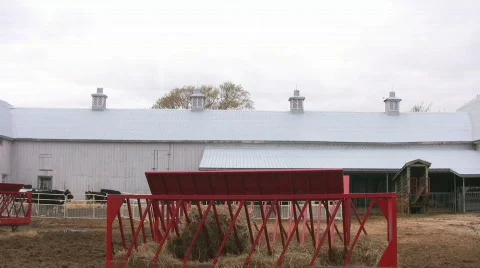 Pan of large cattle barn  Stock Footage 419813