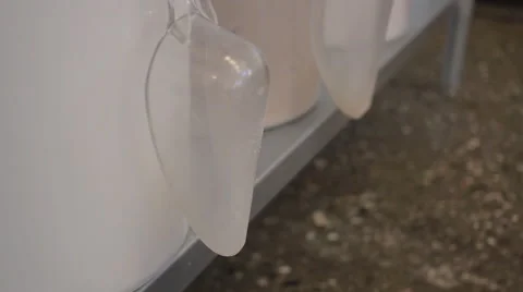 Pan up of large clear white bins holding sugar and flour 스톡 동영상 60719156