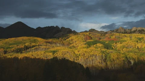 Pan left across bright sunset Autumn mountain yellow forest trees in Colorado Stock Footage 56225543