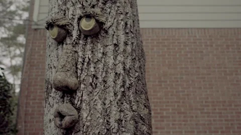 Pan Left close up Face on tree Atlanta Georgia 4k Stock Footage 260424169