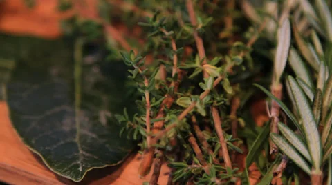 Pan Left Close up Herbs Stock Footage 37411649