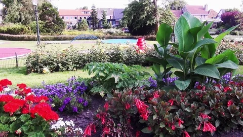 Pan to the left in the garden Stock Footage 120055052