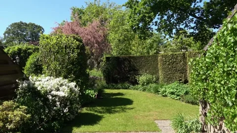 Pan to the left in garden in Holland.mp4 Stock Footage 311983256