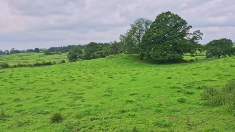 Pan left of green field meadows and trees at Kendal, Cumbria. 스톡 동영상 315080481