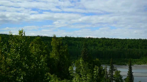 Pan Left, Green Trees, Forest, Stream, and Distant Mountains Stock Footage 33527577