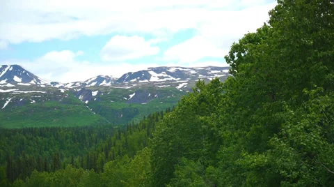 Pan Left From Green Trees to Mountains Stock Footage 37381301