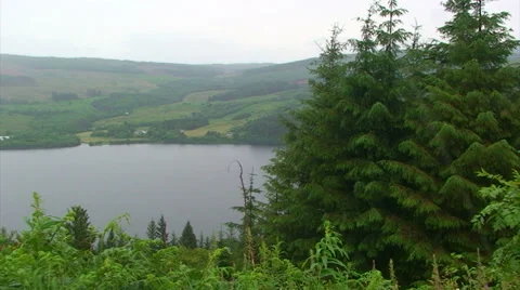 Pan left on landscape thru spruce tree forest clearing over loch Stock Footage 39636150