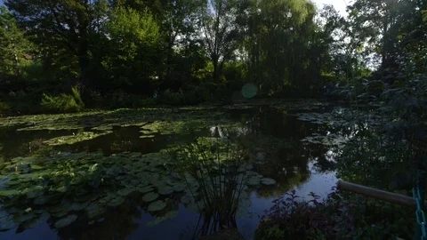 Pan left lily pads, environment that inspired French impressionism Stock Footage 70006158