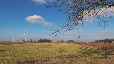 Pan left long shot wind farm renewable energy green yellow grass trees blue sky Stock Footage 101543290