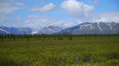 Pan Left Lush Green Field, Evergreen Trees, and Distant Mountains Stock Footage 37404286