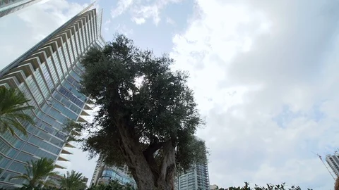 Pan left from Marina Tower to the Four Seasons Hotels and Resorts Tower, Beirut Stock Footage 119070818