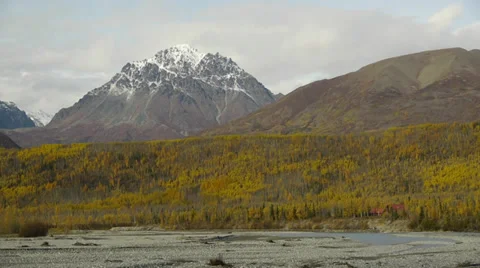 Pan Left Mountain Side Forest, Autumn Colors 2 Stock Footage 38100934