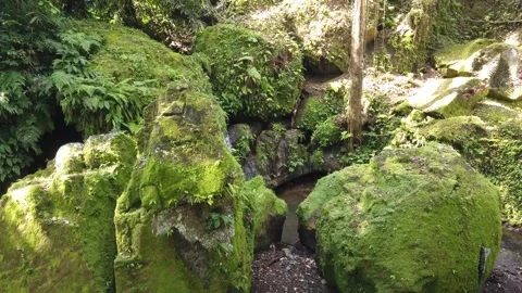 Pan Left Over Massive Moss Covered Boulders and Hidden Jungle Stream at Goa 库存影片 340768809