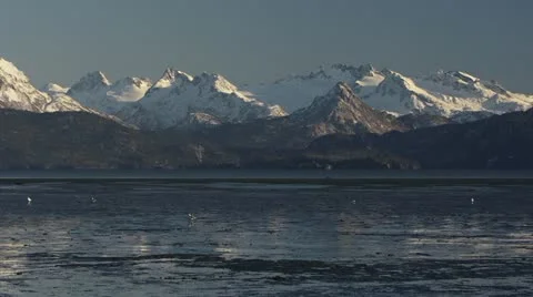 Pan Left over Mud Bay Mudflats at Low Tide with Kenai Mountains Clear Sky Gulls Stock Footage 12383533