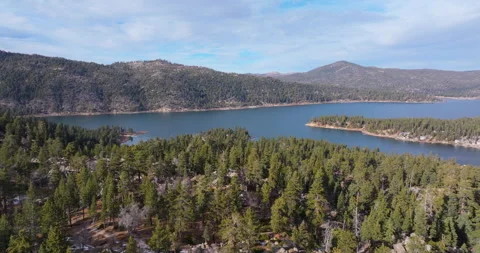 Pan left over pine forest with lake and mountains Video stock 329901354