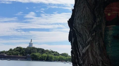 Pan Left from Painted Tree Trunk Art to White Stupa Pagoda Stock Footage 345470626