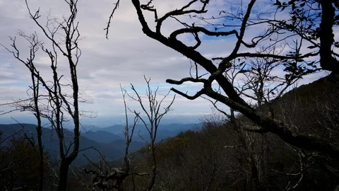 Pan Left Peering Through Trees to Mountains and Clouds In Distance Stock Footage 96720181