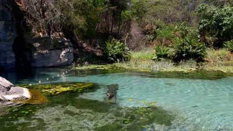 Pan left of Pratinha River and caatinga vegetation at Chapada Diamantina. Stock Footage 165552016