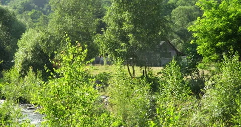 Pan left to reveal a river Stock Footage 248083727
